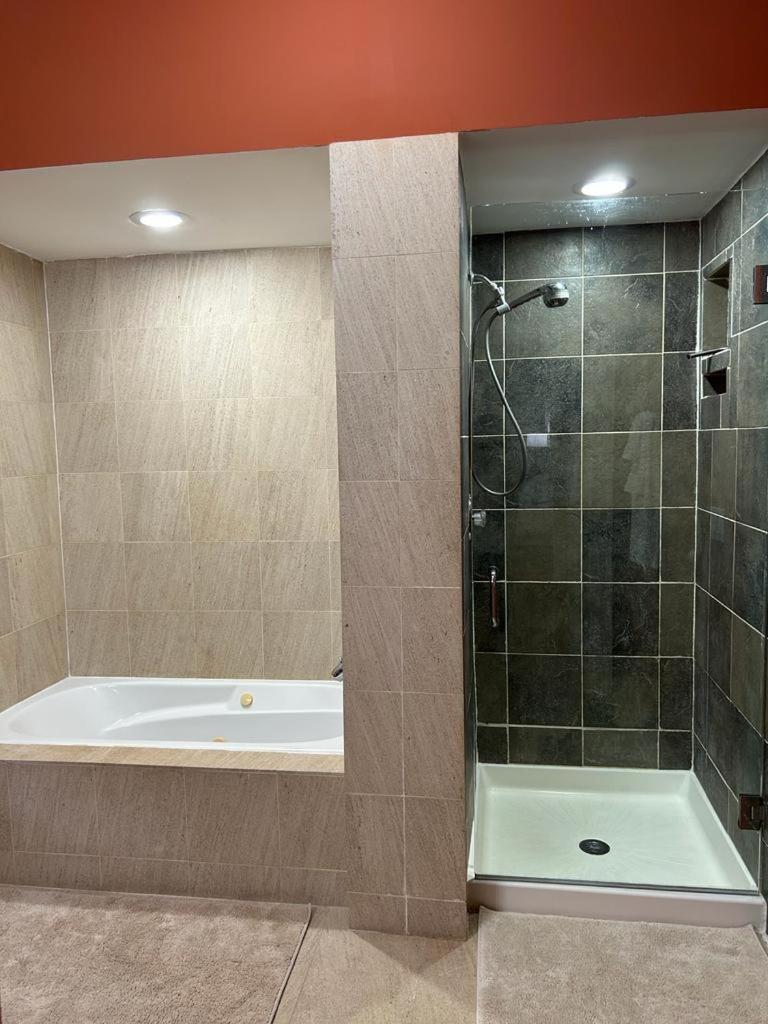 Gorgeous North Kenwood Hyde Park Unit Apartamento Chicago Exterior foto